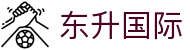东升国际-科技赋能场景,让娱乐更有趣.